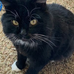 Meet your Posher, Kenlyn